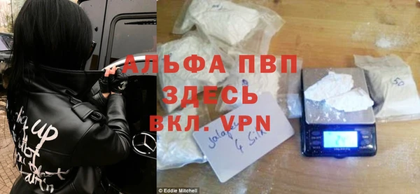 крисы Мегион