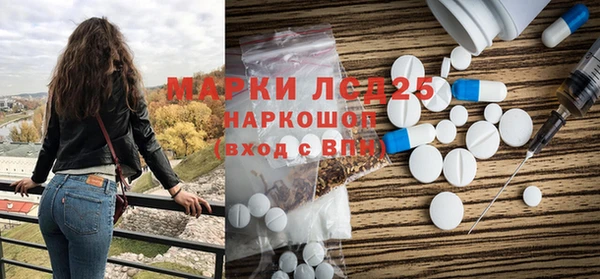 СК Медногорск