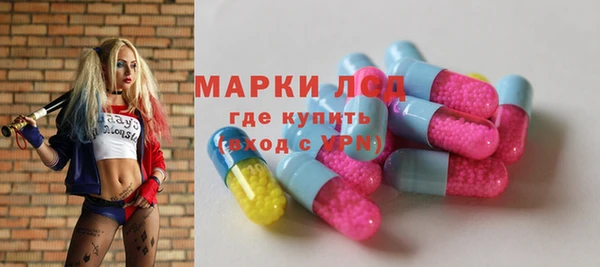 крисы Мегион