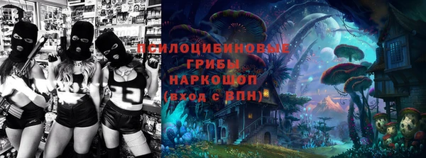 крисы Мегион