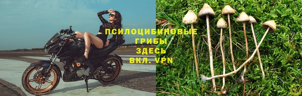 крисы Мегион
