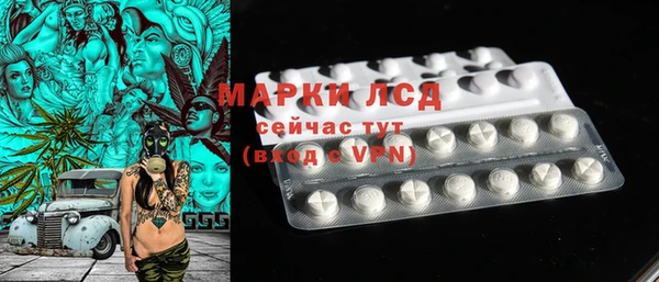 крисы Мегион