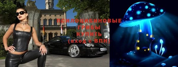 гидропоника Медвежьегорск
