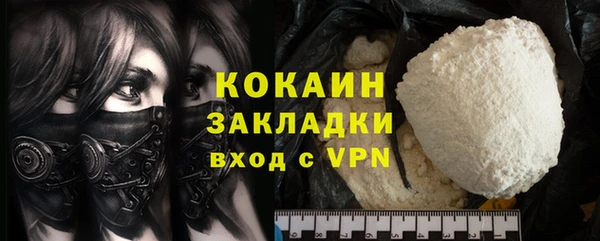 крисы Мегион