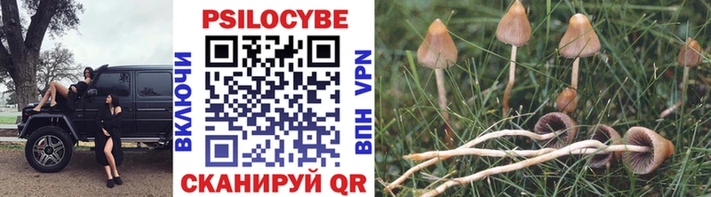 Галлюциногенные грибы Cubensis  hydra зеркало  Томмот 